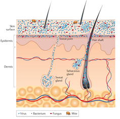 微信圖片_20191213174313 微信圖片_20191213174313