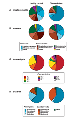 微信圖片_20191213174334 微信圖片_20191213174334