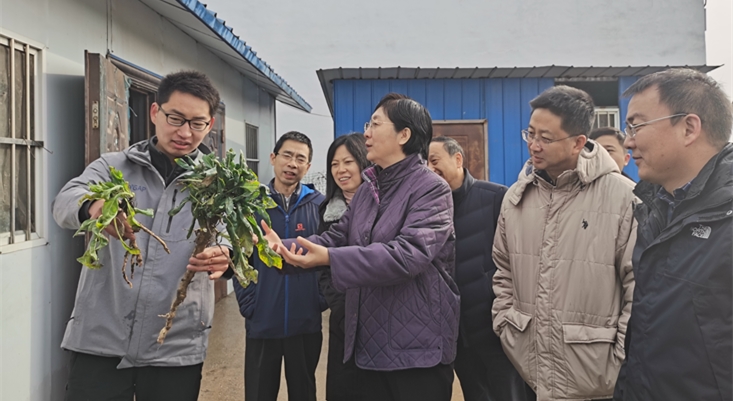 焦紅赴定點扶貧縣慰問調(diào)研