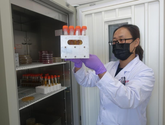 高瑞霞正在實(shí)驗(yàn)室觀察防護(hù)服滅菌用生物指示劑的檢驗(yàn)結(jié)果。記者 楊燕攝