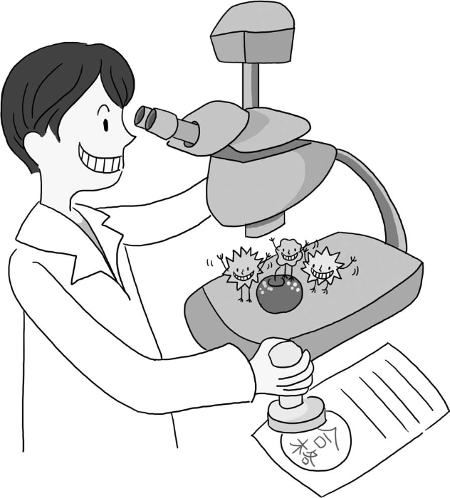 食品安全法 食品安全法