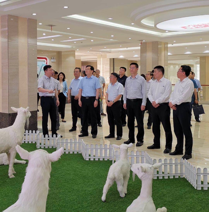 陜西隴縣國家級奶山羊規(guī)模養(yǎng)殖標(biāo)準(zhǔn)化示范區(qū)項目啟動 陜西隴縣國家級奶山羊規(guī)模養(yǎng)殖標(biāo)準(zhǔn)化示范區(qū)項目啟動