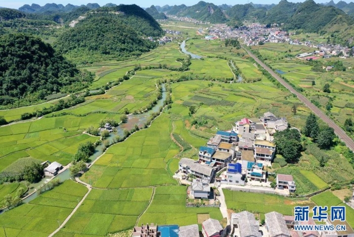 貴州省安順市鮑家屯周圍的稻田和水利工程（8月25日攝，無(wú)人機(jī)照片）。新華社記者 劉續(xù) 攝
