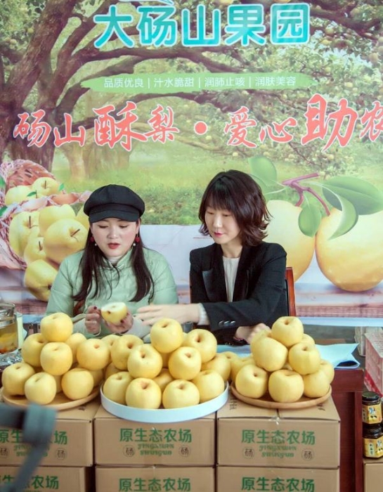 安徽碭山：特色產(chǎn)業(yè)搭“快車(chē)”，“電商扶貧”再升級(jí)