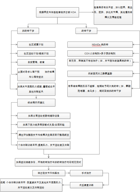 KOA治療的流程圖