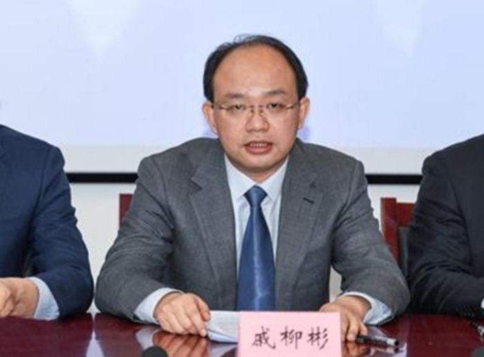 戚柳彬 戚柳彬