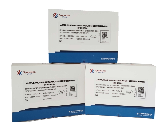 5廈門飛朔生物技術有限公司+人EGFR-KRAS-BRAF-HER2-ALK-ROS1基因突變檢測試劑盒（半導體測序法）