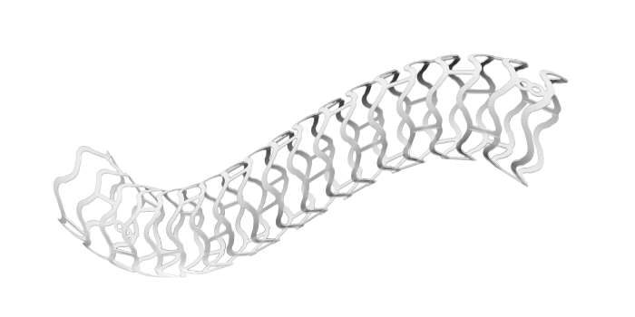 山東華安生物科技+生物可吸收冠脈雷帕霉素洗脫支架系統(tǒng)2