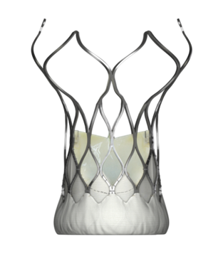 微創(chuàng)心通 - 經(jīng)導(dǎo)管主動脈瓣膜系統(tǒng)-產(chǎn)品圖片2