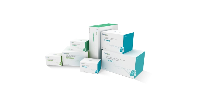 人EGFR、KRAS、BRAF、PIK3CA、ALK、ROS1基因突變檢測(cè)試劑盒（半導(dǎo)體測(cè)序法）1