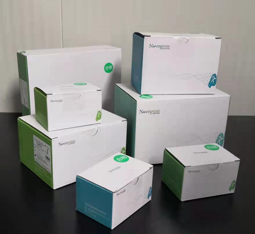 人EGFR、KRAS、BRAF、PIK3CA、ALK、ROS1基因突變檢測(cè)試劑盒（半導(dǎo)體測(cè)序法）2