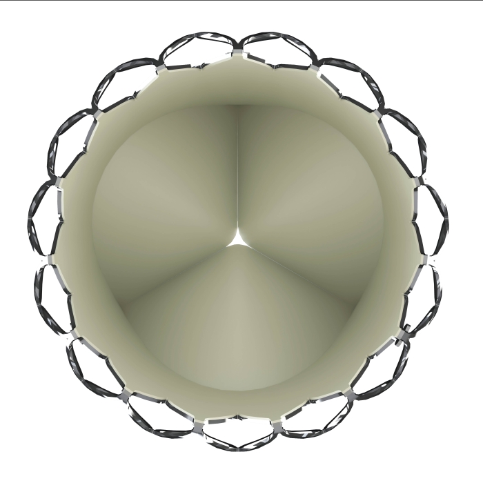 主動(dòng)脈瓣膜-1