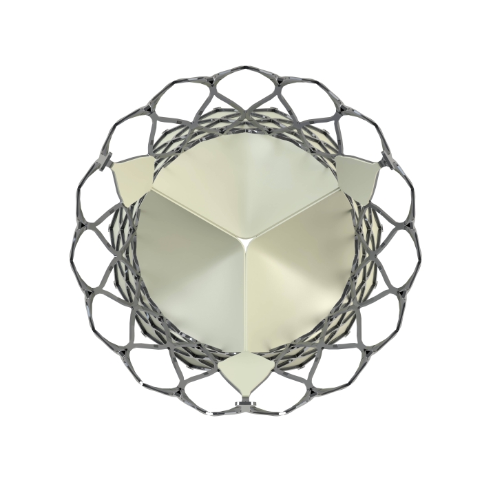 主動(dòng)脈瓣膜-2