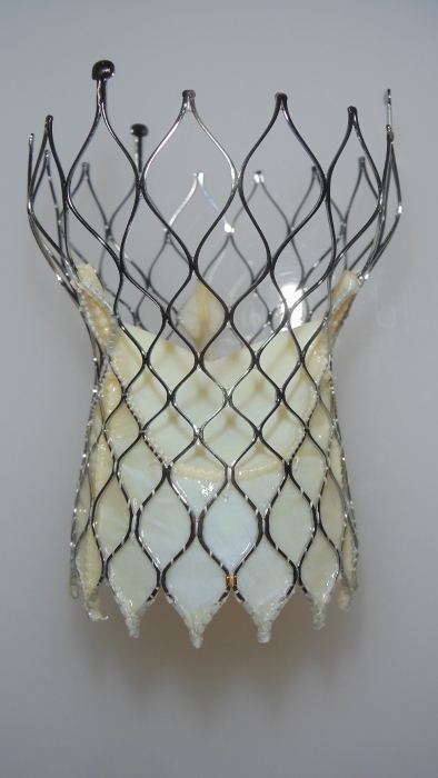 主動(dòng)脈瓣膜-6