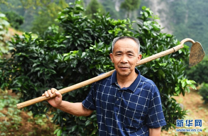 這是2020年7月3日在重慶市巫山縣竹賢鄉(xiāng)下莊村拍攝的毛相林。新華社記者 王全超 攝