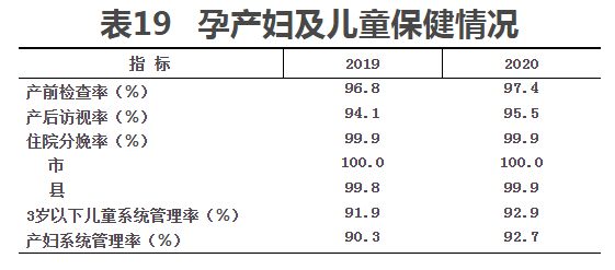 表19 表19