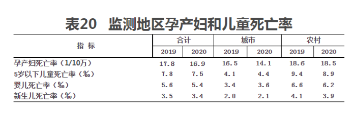 表20 表20