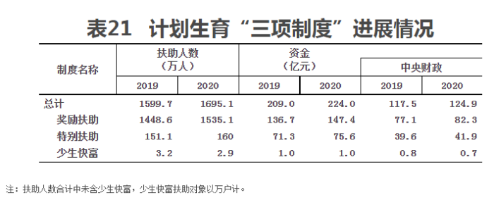 表21 表21