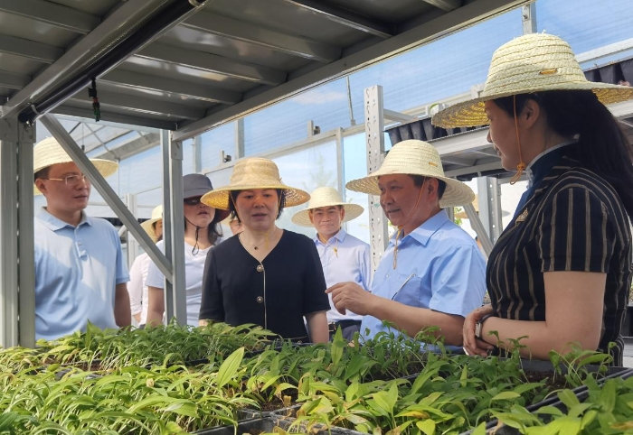 黃東紅（前左二）一行在懷化林泉藥業(yè)有限公司調研（喻燦華 攝）.jpg