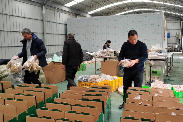 石泉縣兩河鎮(zhèn)中心村集體經(jīng)濟(jì)加工廠房內(nèi)劉玉棟（右一）和村民一起按照“消費(fèi)幫扶”訂單將特色農(nóng)產(chǎn)品封裝成新春“年貨”。（賀一辰攝）